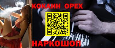 гидра Бердск