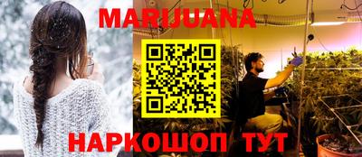 гидра Бердск