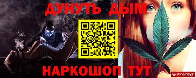 крисы Братск