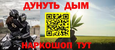 гидра Бердск