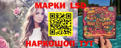 гидра Бердск