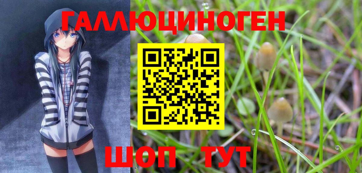 Белая Калитва  Галлюциногенные грибы MAGIC MUSHROOMS  Вход с VPN  Галлюциногенные грибы мухоморы 